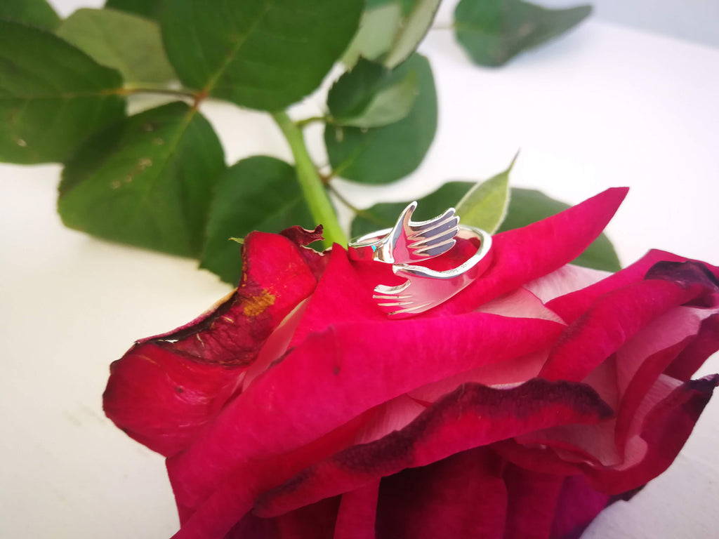 Sterling Silver Hug ring 