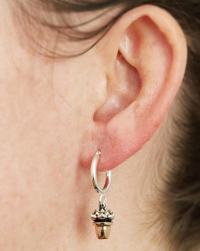 Sterling Silver Hoop earrings with link attaching Sterling silver desert rose cactus with bronze plant pot